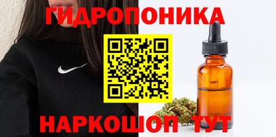 крисы Пенза