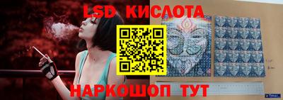 крисы Пенза