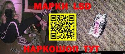 крисы Пенза