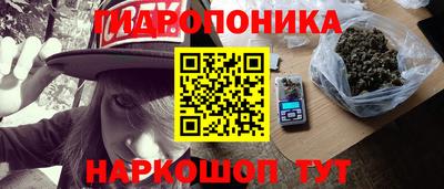 крисы Пенза
